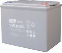 fiamm12-flb300-medium.jpg